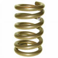 B650 9.5 x 5 in. 650 lbs Gold Coil Front Spring for 1967-69 Camaro, Firebird