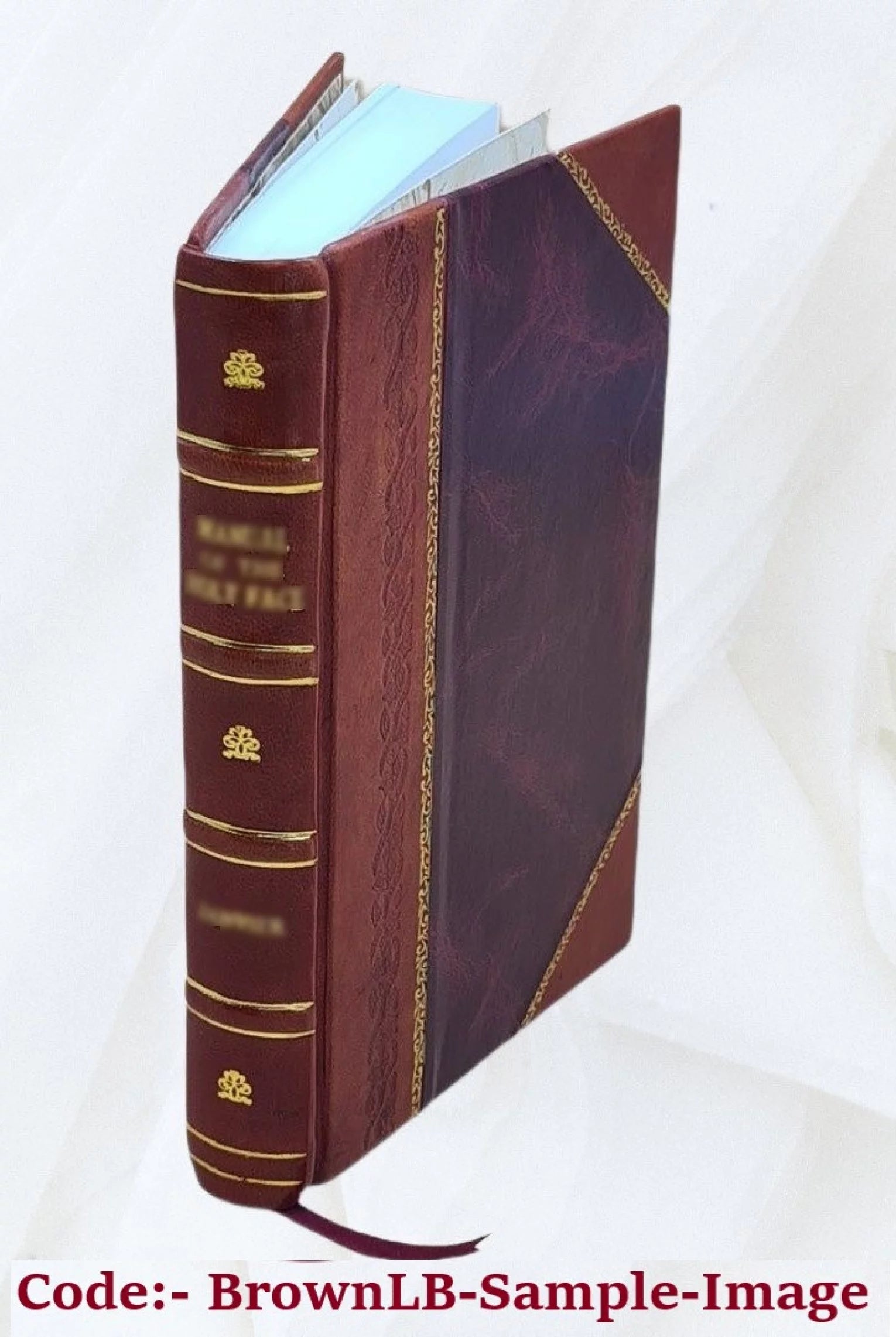 Manual of first-aid instruction for miners / by a Committee of surgeons on standardization of first aid ; G.H. Halberstadt, A.F. Knoefel, W.A. Lynott, W.S. Rountree, and M.J. Shiel