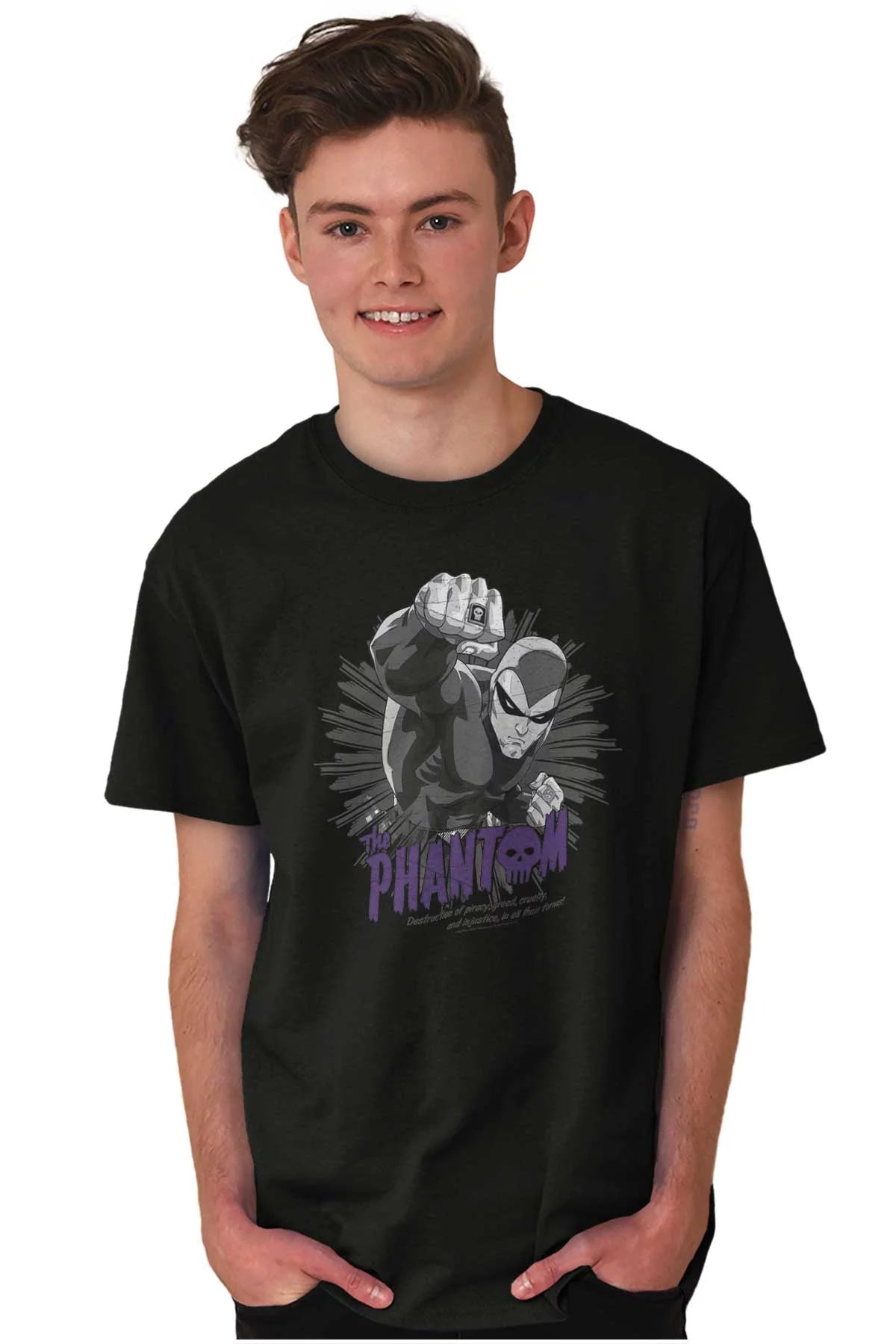 the Phantom Comic Book Hero Men's Graphic T Shirt Tees Brisco Brands L