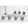 11679-8 1.61 in. Severe Duty Exhaust Valves for GM LS7