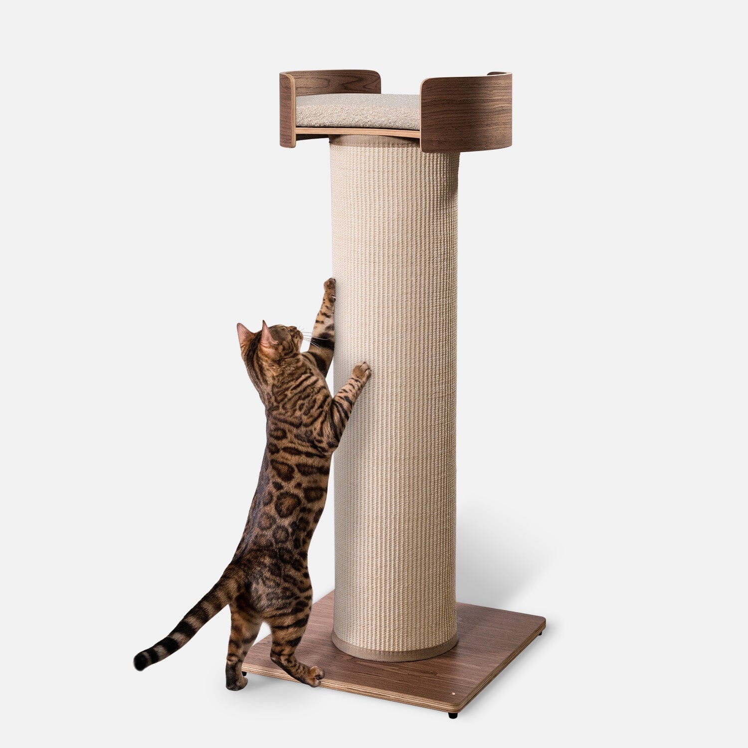 Giant Scratching Tower