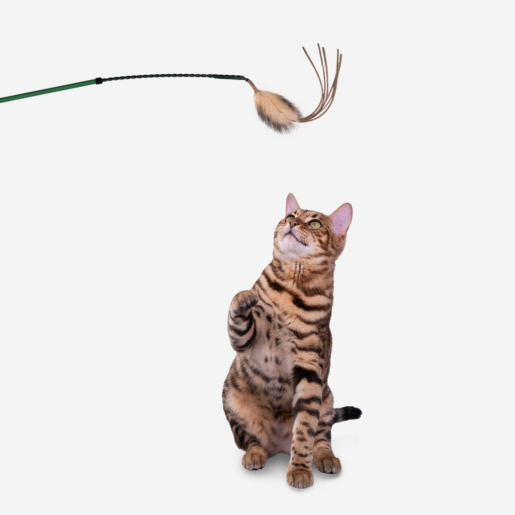 Cat Laser Wand